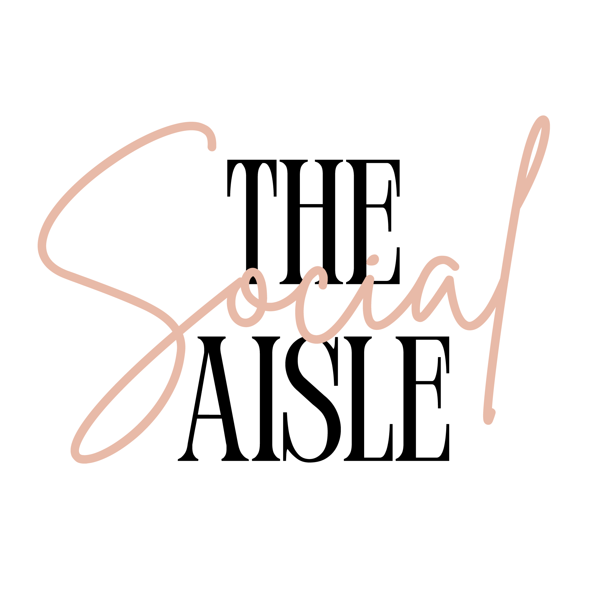The Social Aisle